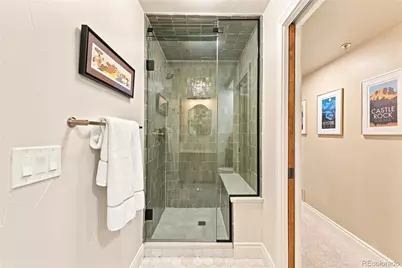 477 Silbrico Way, Castle Rock, CO 80108 - Photo 42
