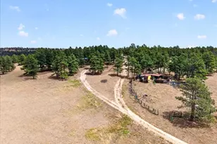 32901 Ridge Rd, Ramah, CO 80832 - Photo 12