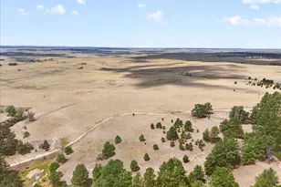 32901 Ridge Rd, Ramah, CO 80832 - Photo 8