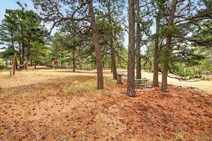 32901 Ridge Rd, Ramah, CO 80832 - Photo 22