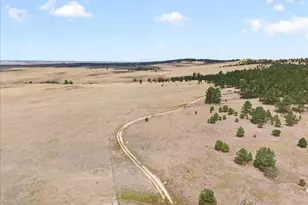 32901 Ridge Rd, Ramah, CO 80832 - Photo 10