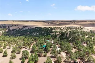 32901 Ridge Rd, Ramah, CO 80832 - Photo 14