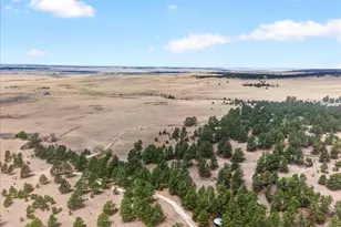 32901 Ridge Rd, Ramah, CO 80832 - Photo 28