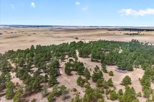 32901 Ridge Rd, Ramah, CO 80832 - Photo 26