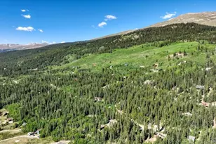 234 Peterson Dr, Fairplay, CO 80440 - Photo 30