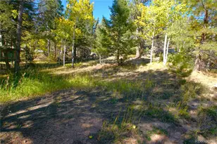 30589 Hood Rd, Conifer, CO 80433 - Photo 1