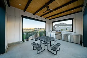 8784 Whiteclover St, Littleton, CO 80125 - Photo 28