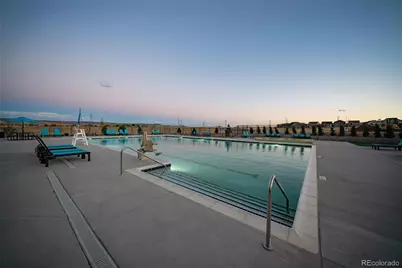 8784 Whiteclover Street, Littleton, CO 80125 - Photo 30