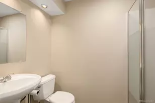 10580 Wintersweet Ct, Parker, CO 80134 - Photo 38