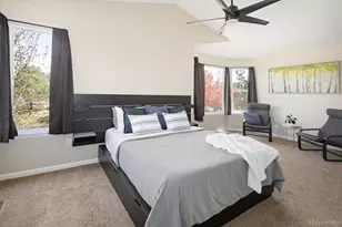 10580 Wintersweet Ct, Parker, CO 80134 - Photo 24