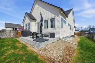 4460 Crestone Peak St, Brighton, CO 80601 - Photo 42