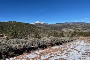 Lot 4554 Clausen Rd, Fort Garland, CO 81133 - Photo 1