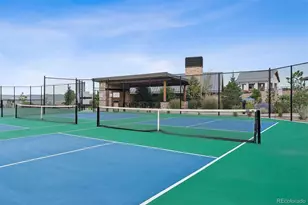 532 Woodroot Cir, Castle Rock, CO 80104 - Photo 32