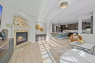 1103 Zodo Ave, Erie, CO 80516 - Photo 8