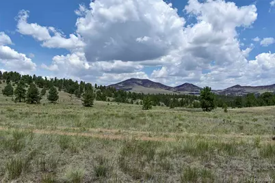 376 Copeland Road, Guffey, CO 80820 - Photo 30