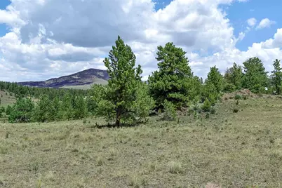 376 Copeland Road, Guffey, CO 80820 - Photo 32