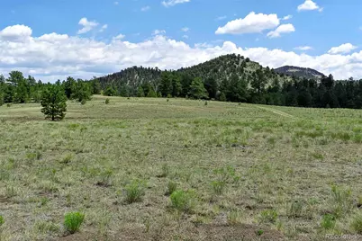376 Copeland Road, Guffey, CO 80820 - Photo 22