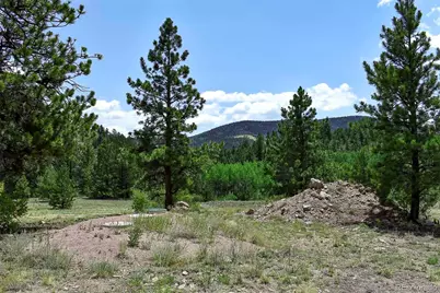 376 Copeland Road, Guffey, CO 80820 - Photo 2