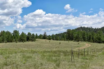 376 Copeland Road, Guffey, CO 80820 - Photo 28