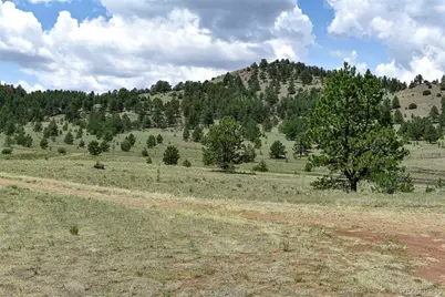 376 Copeland Road, Guffey, CO 80820 - Photo 42