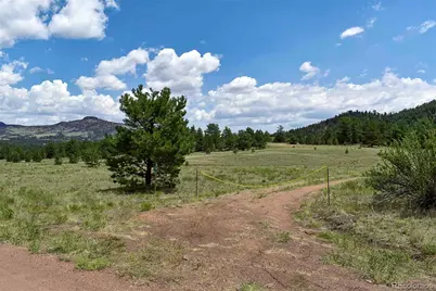 376 Copeland Road, Guffey, CO 80820 - Photo 46