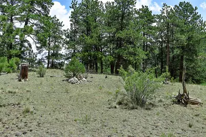 376 Copeland Road, Guffey, CO 80820 - Photo 18