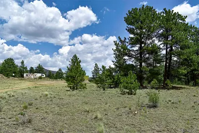 376 Copeland Road, Guffey, CO 80820 - Photo 20
