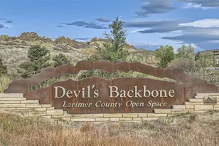 3067 Gladstone Ave, Loveland, CO 80538 - Photo 4