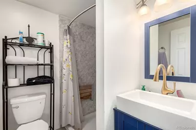 717 Anderson Street, Castle Rock, CO 80104 - Photo 24
