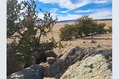 1282 Ute Trace, Hartsel, CO 80449 - Photo 4