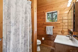 247 Bunny Rd, Bailey, CO 80421 - Photo 18