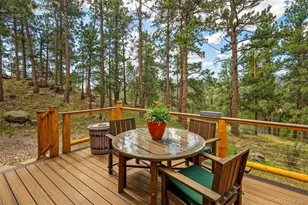 247 Bunny Rd, Bailey, CO 80421 - Photo 20