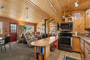 247 Bunny Rd, Bailey, CO 80421 - Photo 28