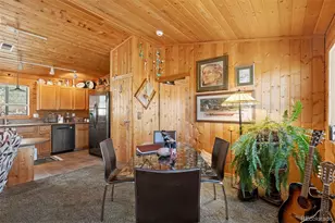 247 Bunny Rd, Bailey, CO 80421 - Photo 26