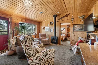 247 Bunny Road, Bailey, CO 80421 - Photo 30