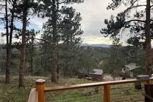 247 Bunny Rd, Bailey, CO 80421 - Photo 24