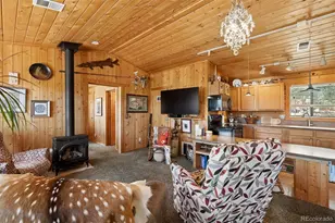 247 Bunny Rd, Bailey, CO 80421 - Photo 6