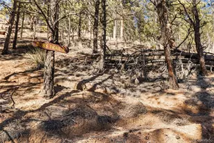 15185 Rainbow Dr, Sedalia, CO 80135 - Photo 16