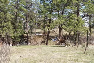 1851 Buttercup Rd, Elizabeth, CO 80107 - Photo 46