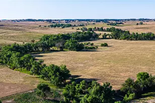 44990 Coal Creek, Parker, CO 80138 - Photo 22