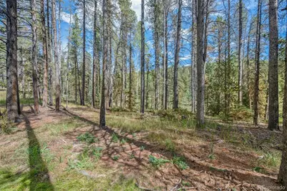 001 Lot 12 Indian Springs Rd, Conifer, CO 80433 - Photo 10