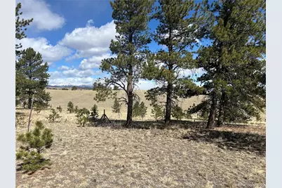517 Brahma Circle, Hartsel, CO 80449 - Photo 2