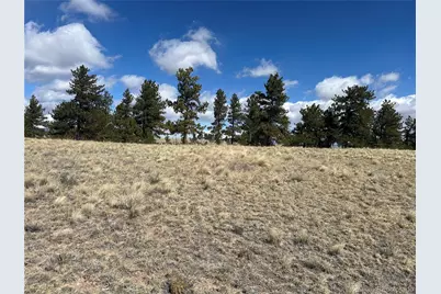 517 Brahma Circle, Hartsel, CO 80449 - Photo 4