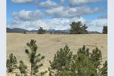 517 Brahma Circle, Hartsel, CO 80449 - Photo 6