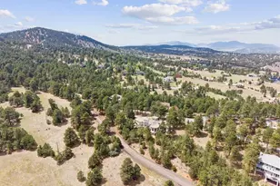 23004 Whispering Woods, Golden, CO 80401 - Photo 42