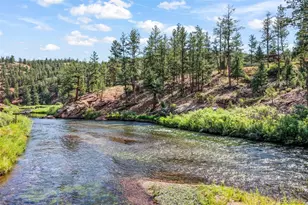8123 Y Camp Rd, Sedalia, CO 80135 - Photo 44