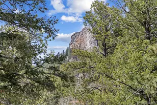 23971 Mormon Dr, Conifer, CO 80433 - Photo 36
