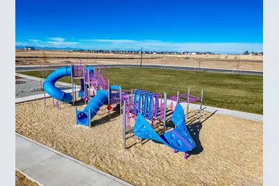 46537 Sunflower Lane, Bennett, CO 80102 - Photo 46