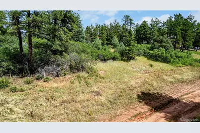 8160 Bannock Drive, Larkspur, CO 80118 - Photo 26