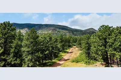 8160 Bannock Drive, Larkspur, CO 80118 - Photo 14